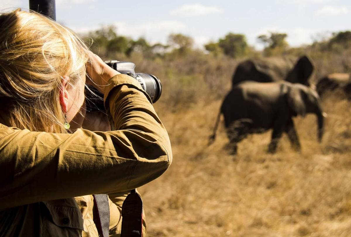 The 10 Best Destinations for Photographic Safaris in Kenya