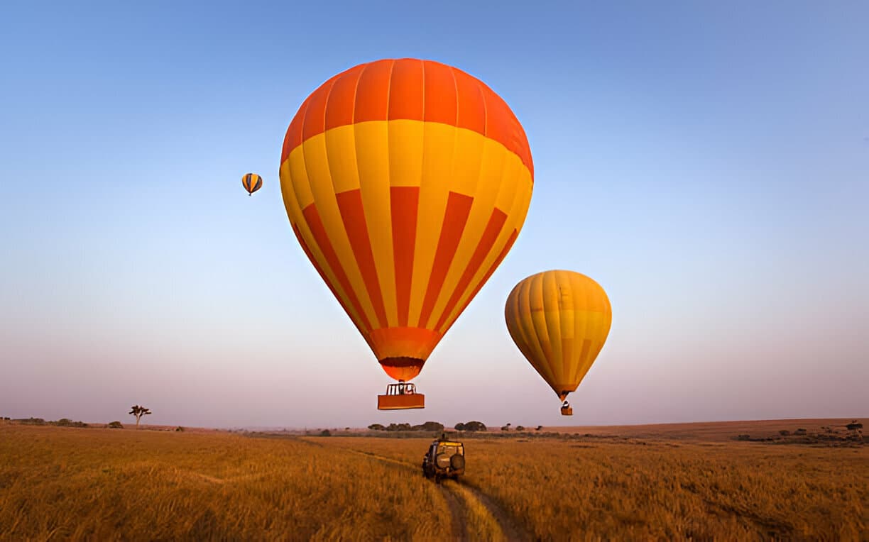 Kenya Safari Experience