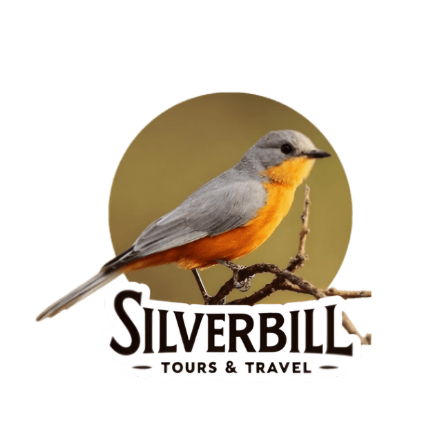 Silverbill Tours Logo