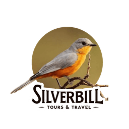 Silverbill Tours
